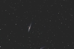 NGC4631  20230521