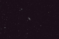ngc2841 20250428